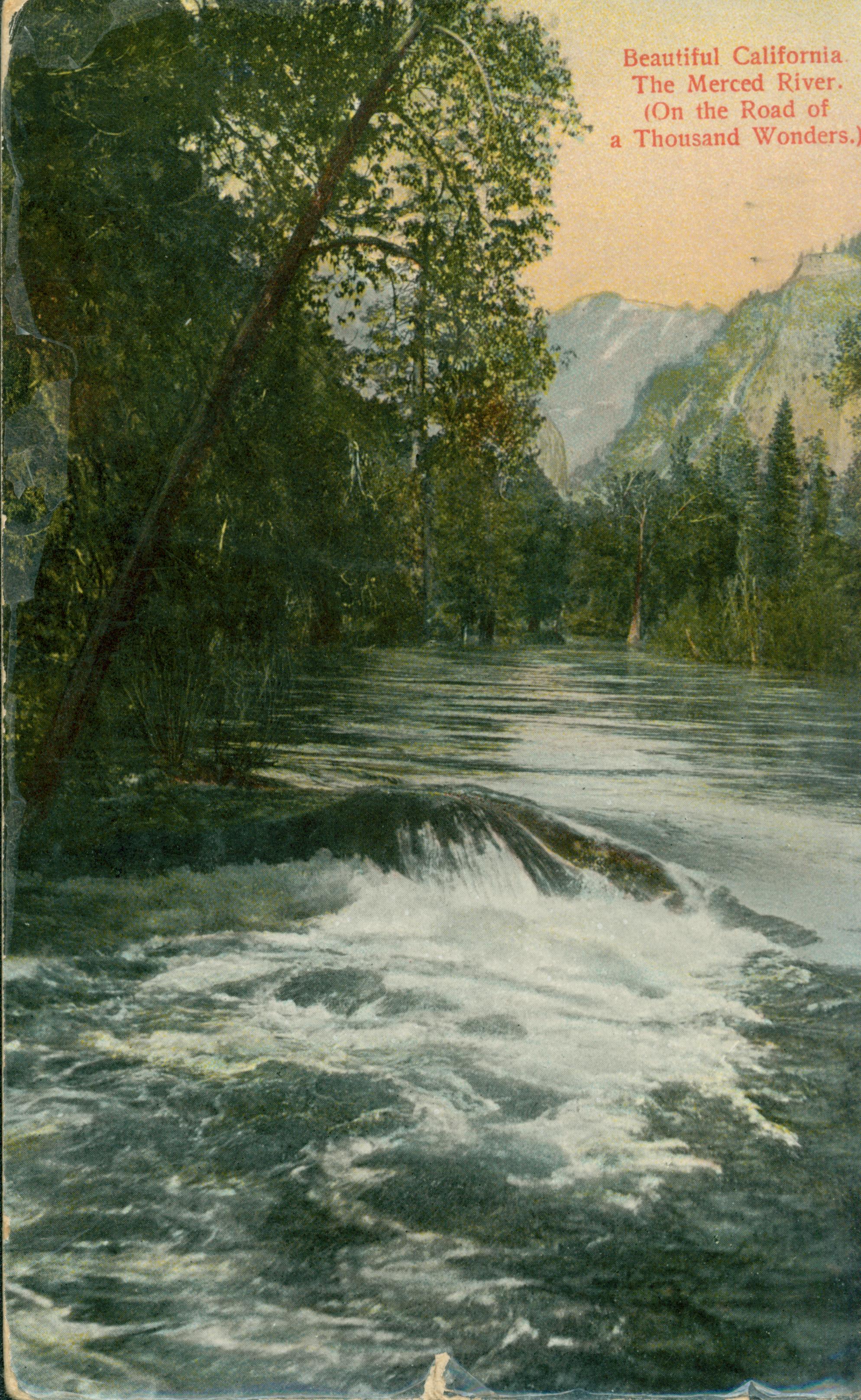 This postcard shows a tree-lined river, with mountain in the background.